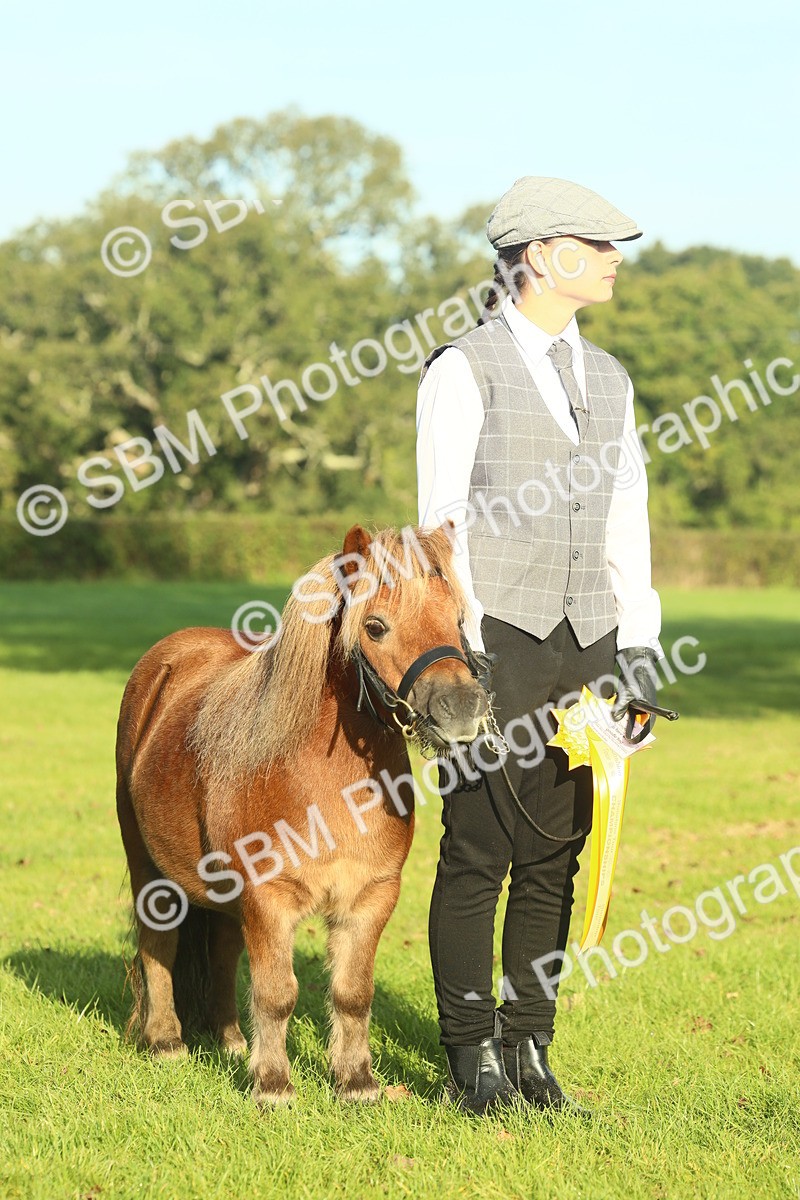 SBM_58467 - S37 - Starters In Hand Showing
