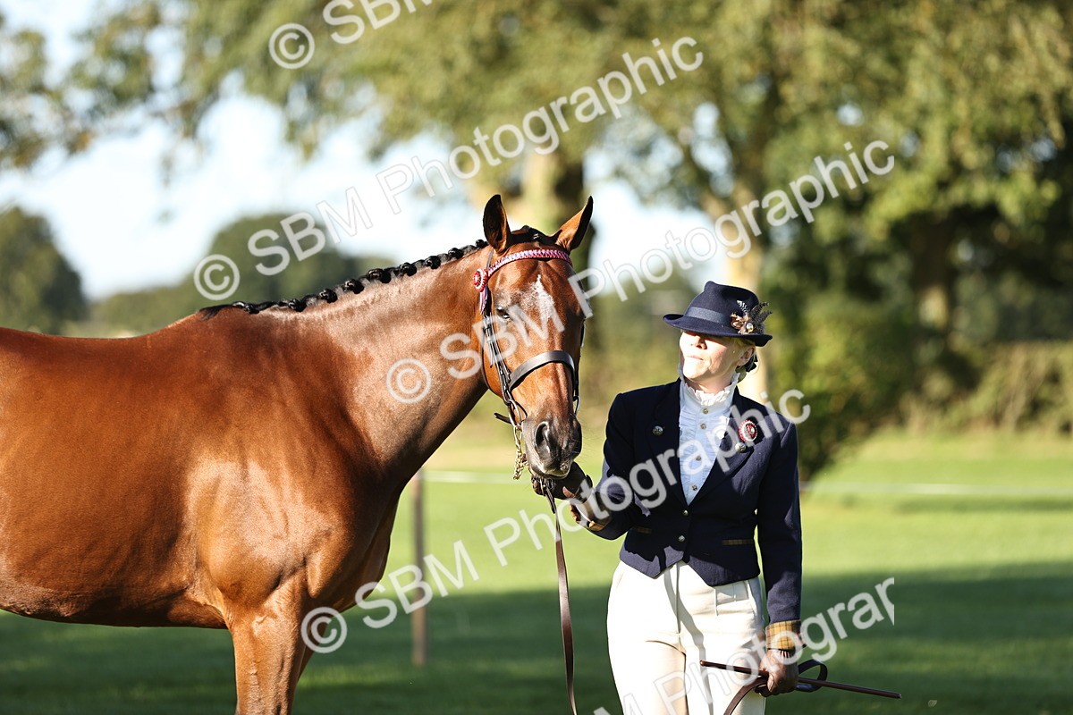 SBM_15774 - S1 - TSR in Hand Horse & Pony Showing