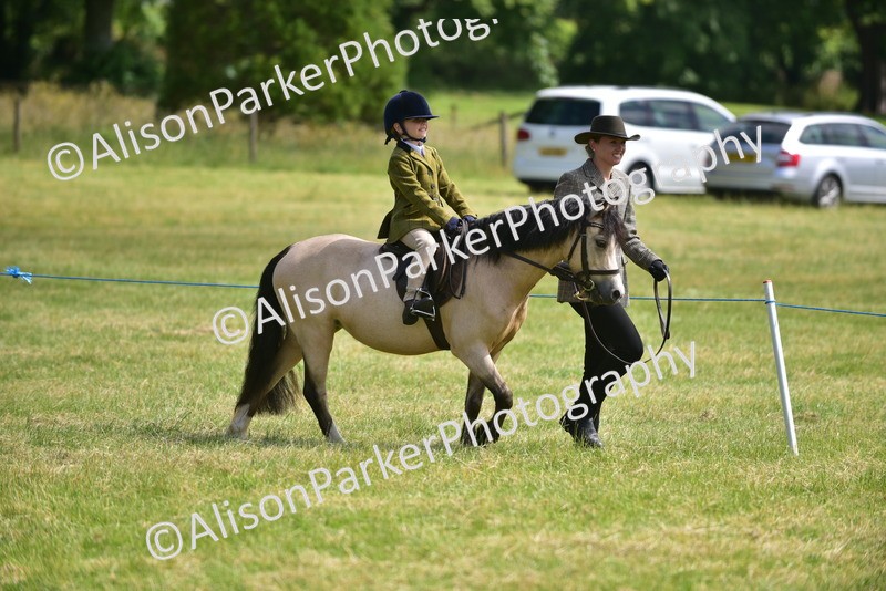 20260614-1114 - Class 11a - Lead Rein Pony (Unplaited)