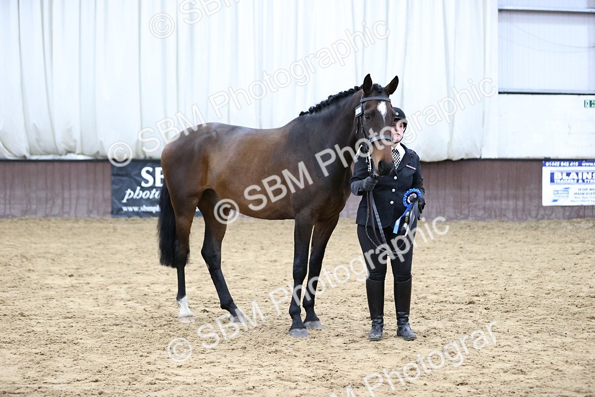 SBM_5781 - Class 3 - BSHA In Hand Show Hunter