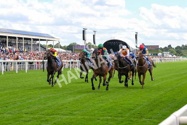 280625-Race 2-Quinault-0070 - Race 2 2.25pm Al Basti Equiworld Dubai Criterion Stakes
