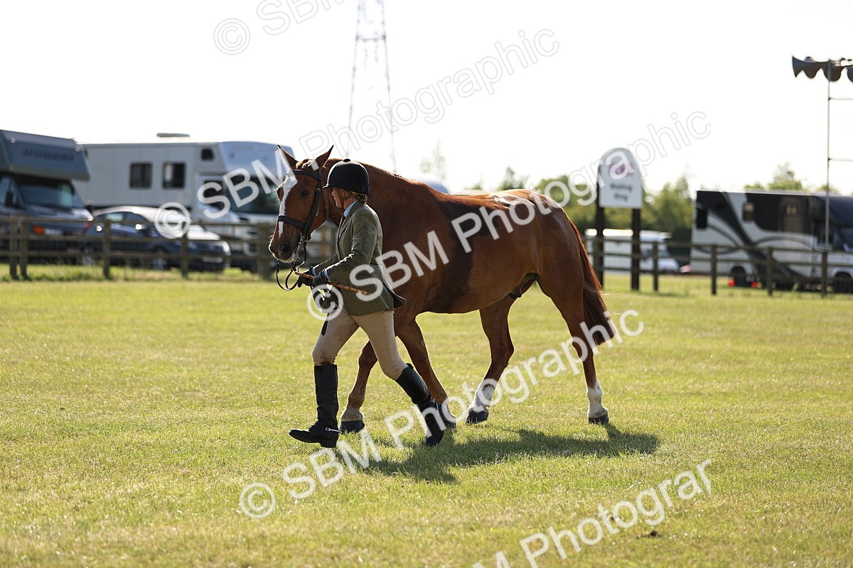SBM_19690 - Class 87-88 - RIHS BSHA Riding Horses