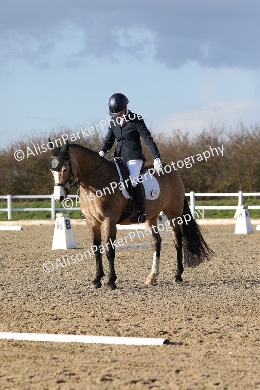 20260314-5884 - DR8 - Elementary 2