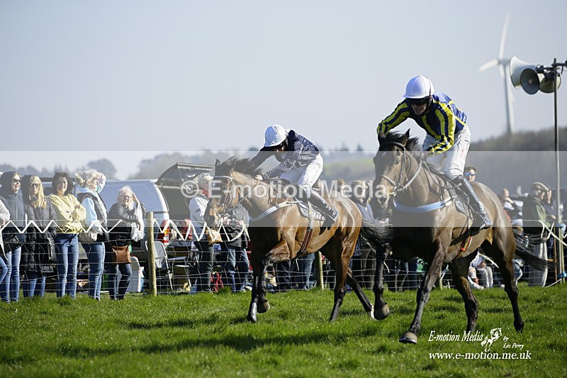 PtP 190322 732 - Wilton Hunt PtP Milborne St Andrew 19/03/22