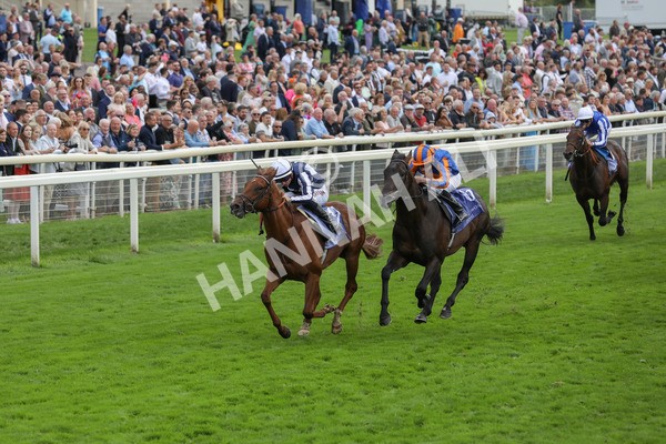 250823-Race 3-Lake Forest-5840 - Race 3 3.00pm Al Basti Equiworld Dubai Gimcrack Stakes
