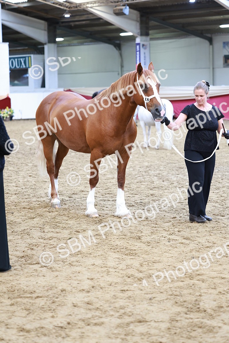 SBM_17362 - Class 951 - M&M IH Supreme Final