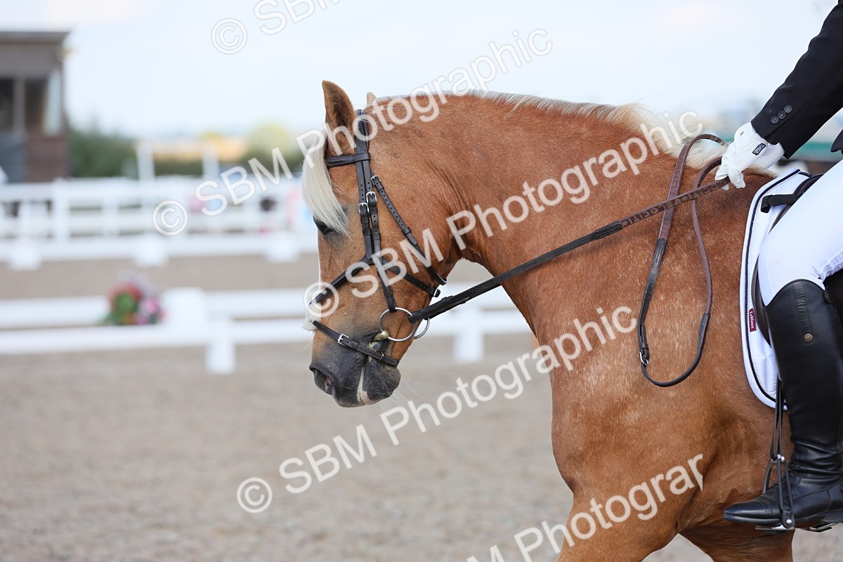 SBM_07727 - Class 33 Elementary 1