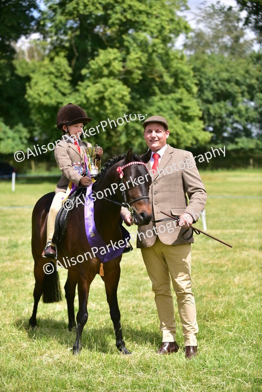 20260614-1415 - Class 11b - Lead Rein Pony (Plaited)