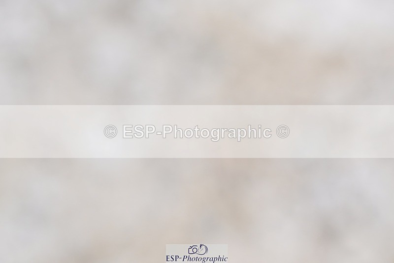 240811-132230-05900 - Adv Medium Silver