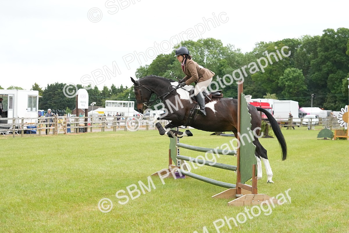 SBM_12558 - Class 97-98 - LIHS BSHA Rising Star Working Show Horse Hunter
