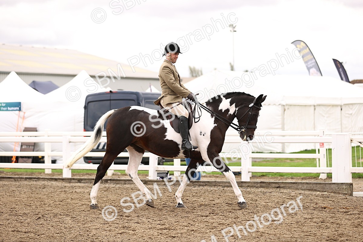 SBM_01339 - Class 54 - Riding Club Horse Pony