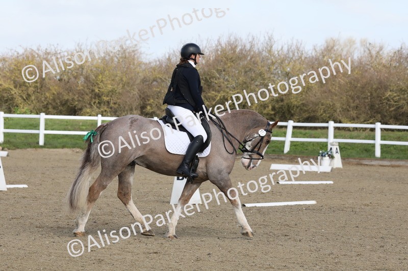 20260314-0335 - DR1 - Intro 1