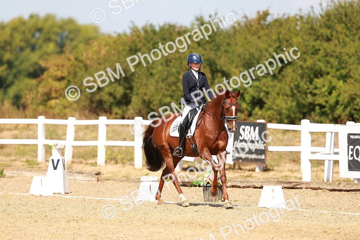 SBM_018321 - Class 9 - N5 Bronze 11.57.13.07