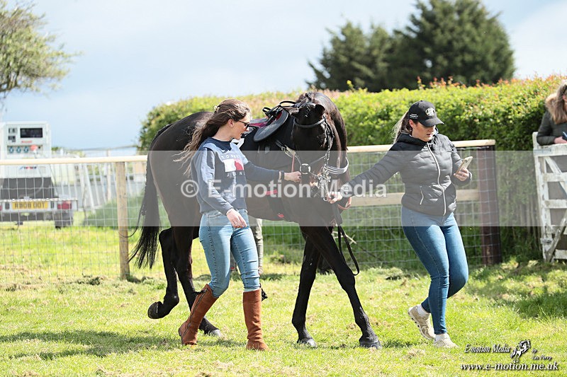 PtP 180426 199 - Worcestershire Hunt PtP Chaddesley Corbett 18/04/26