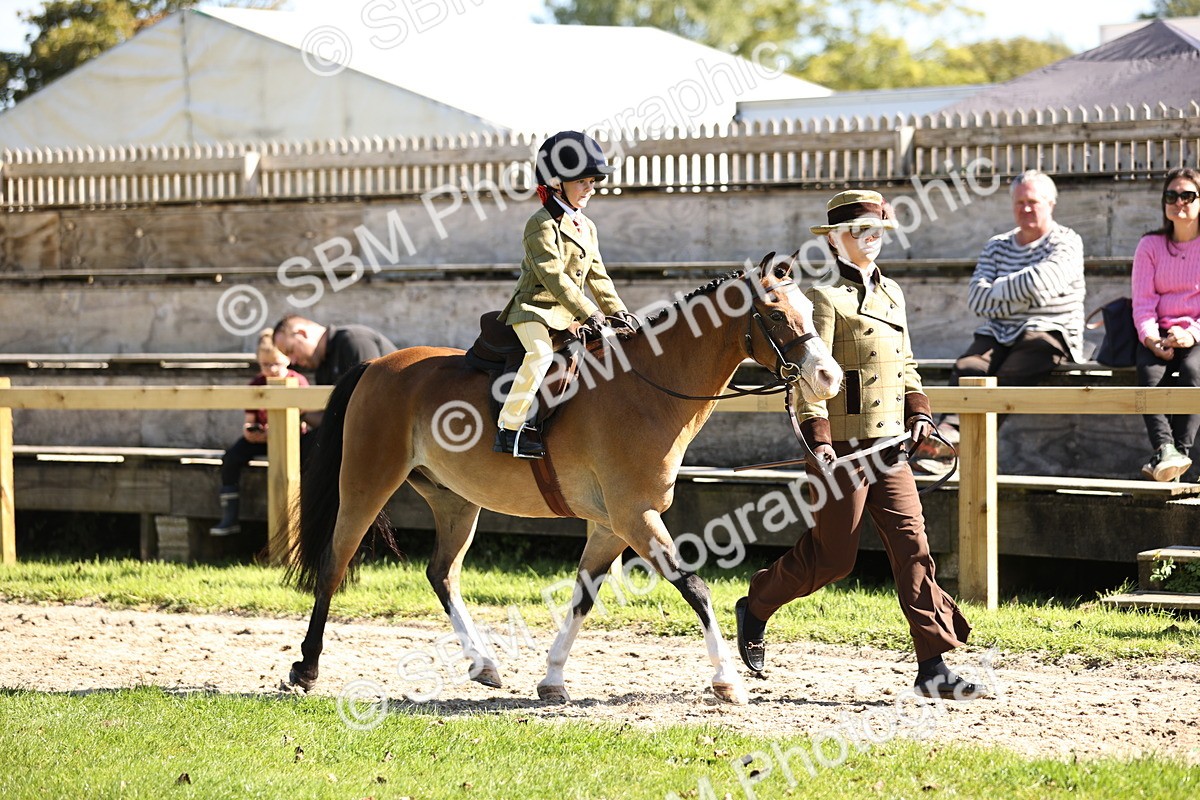 SBM_19229 - S3 - TSR Ridden Pony Showing