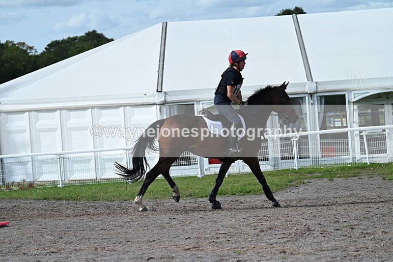 WJ7_2390 - Time 13:55 to 14:05