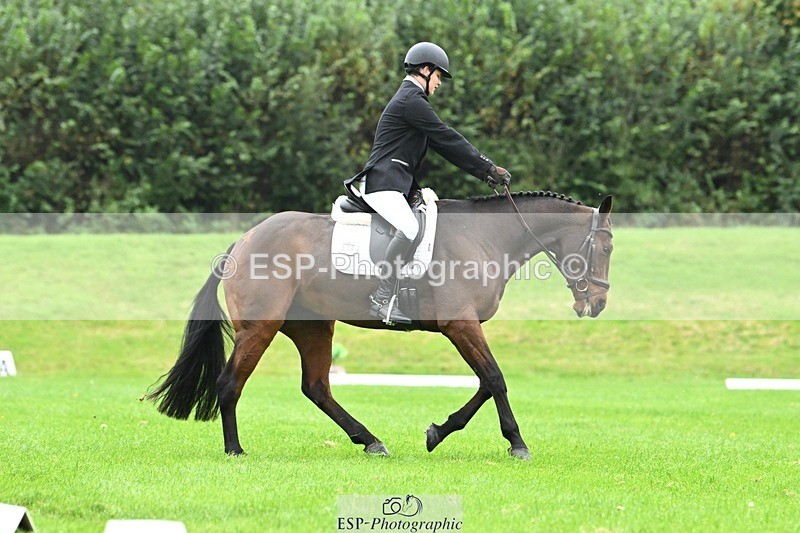 241024-111130-03162 - 504-Harry.Robinson-WHAT.A.WONDER