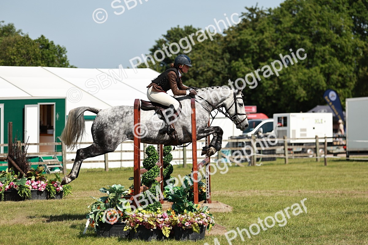 SBM_18380 - Class 112-113 - BSPS LIHS Working Sports Pony