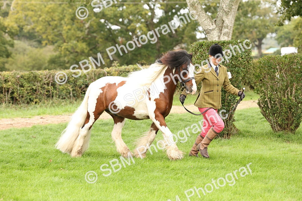 SBM_59269 - S57 - Traditional Cob In Hand