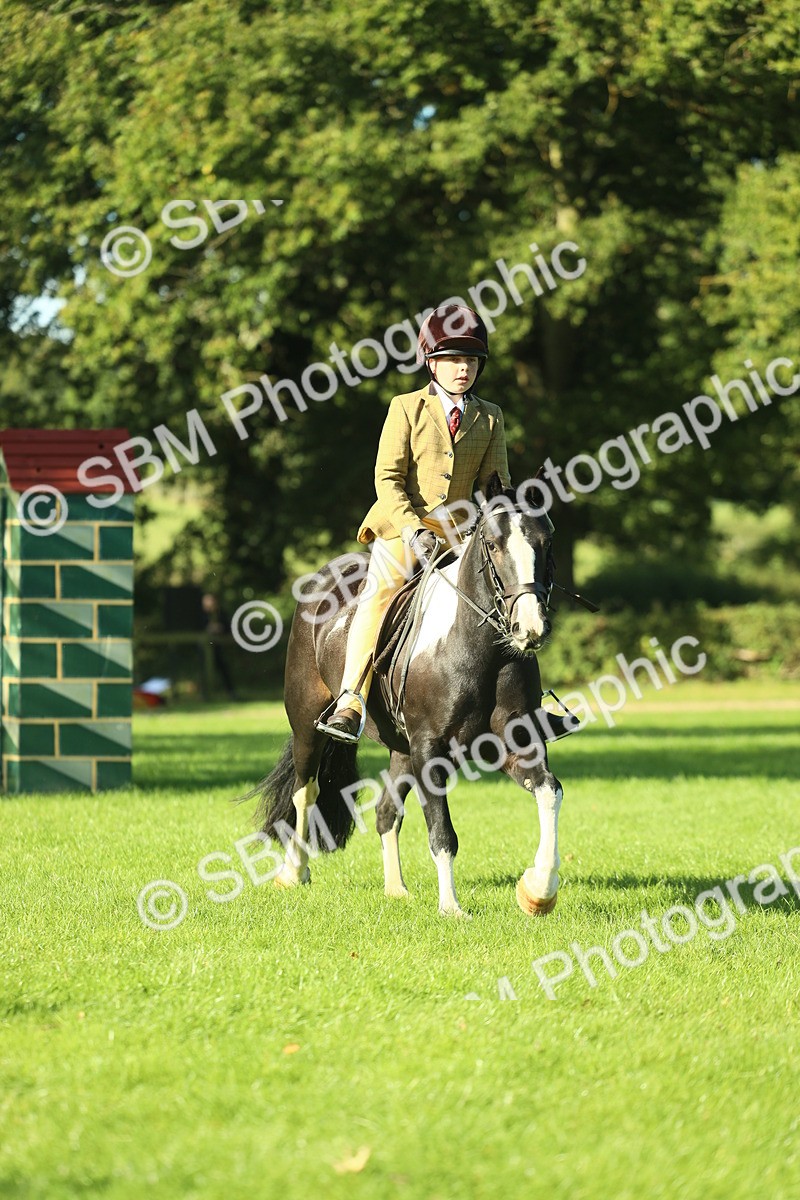 SBM_36409 - S29 - Novice & Newcomers Working Hunter Pony