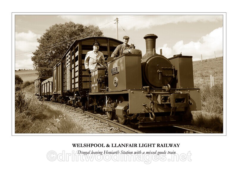 WLLR Dougal heads the mixed goods train through Heniarth Station 2 sep - The Welshpool & Llanfair Light Railway