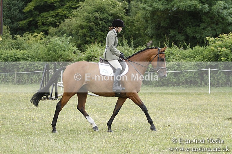 BVR160717-1780 - Ring 3 BVRC Show 16/07/17