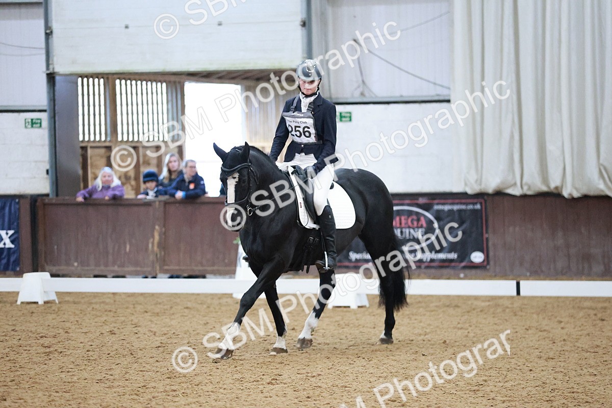 SBM_004615 - Ring 3 - International -  Working Hunter Classes 23-2-25