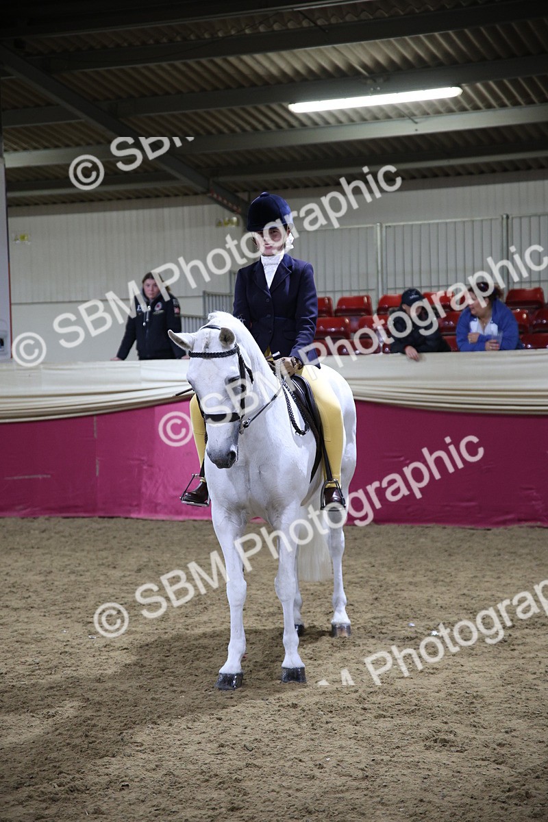 5K7A1494 - Class K Equitation Champ