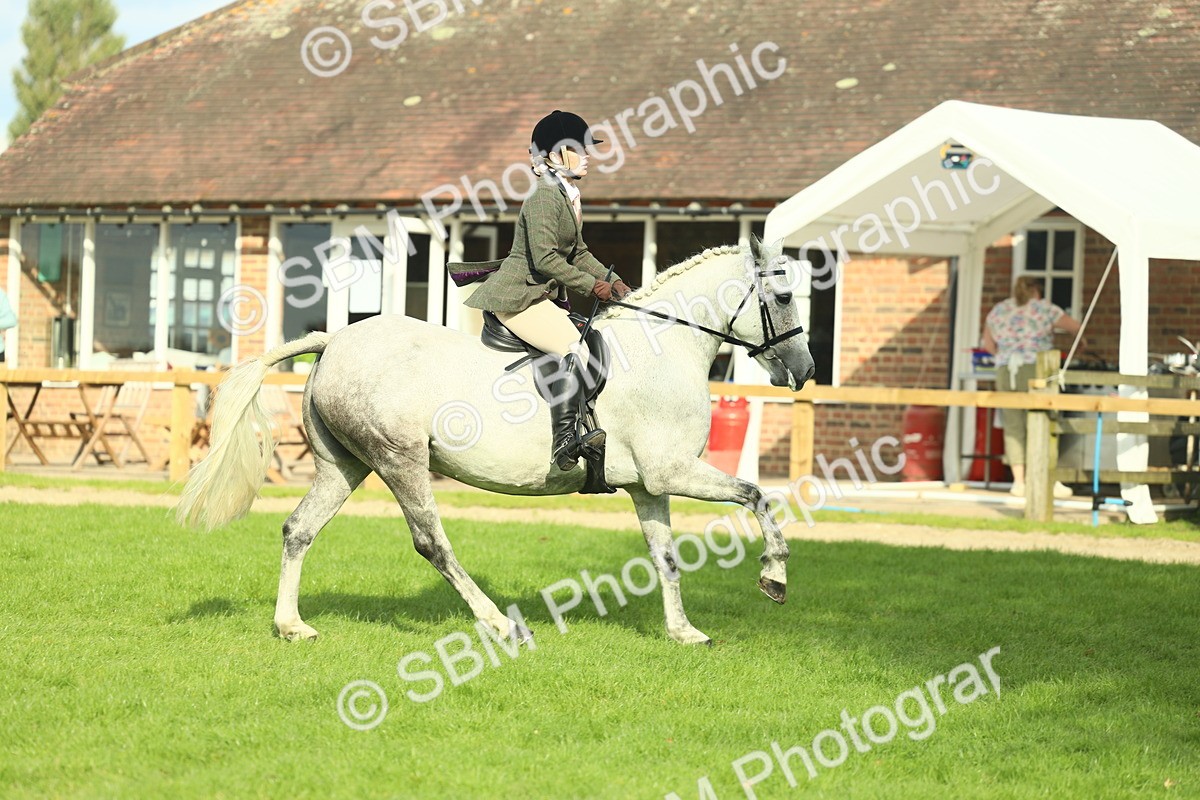 SBM_50635 - S33 - Working Hunter & Working Show Horse
