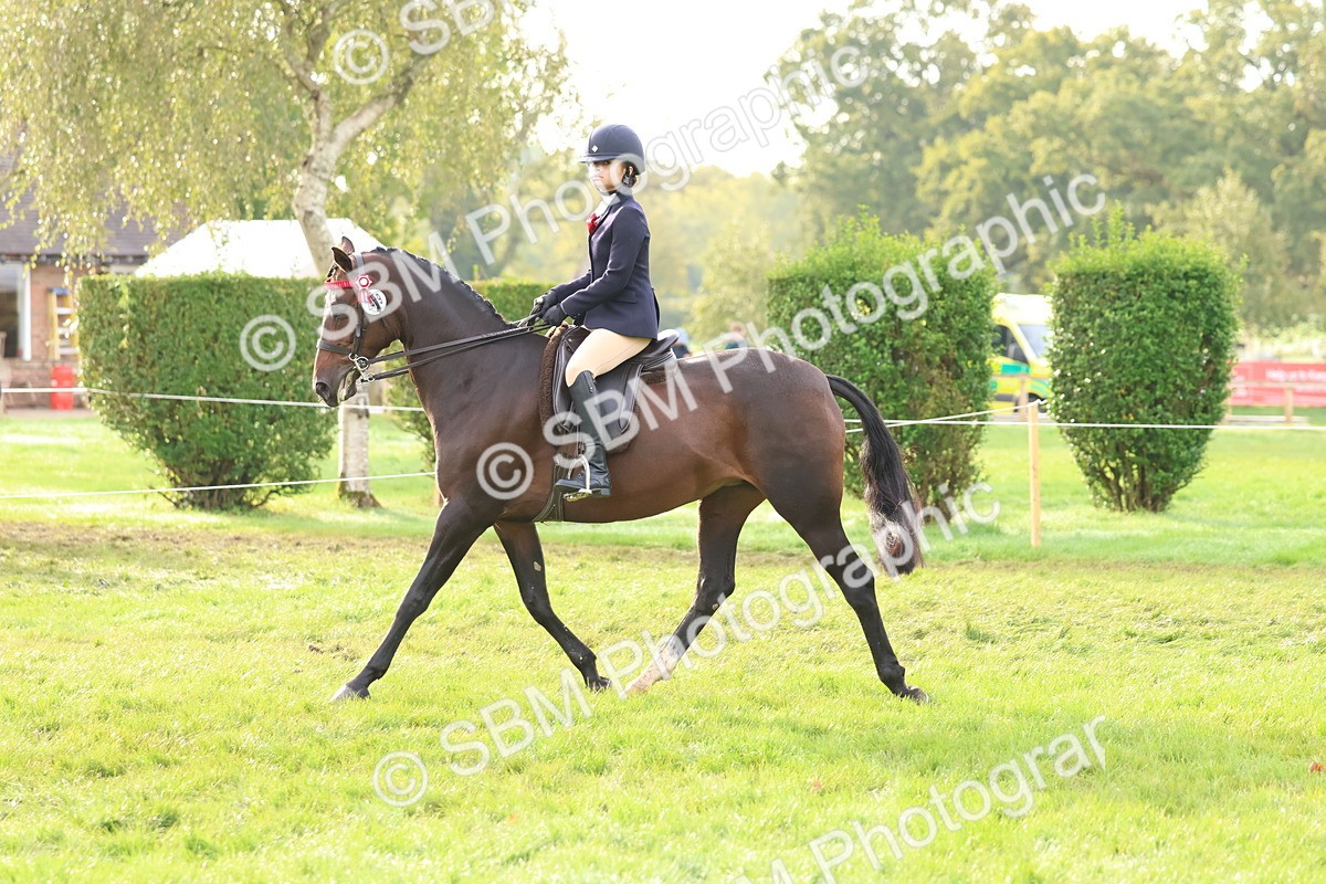 SBM_56611 - S40 - Starters Ridden Showing