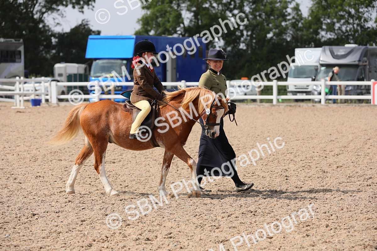 SBM_13969 - Class 309 Lead Rein Pony