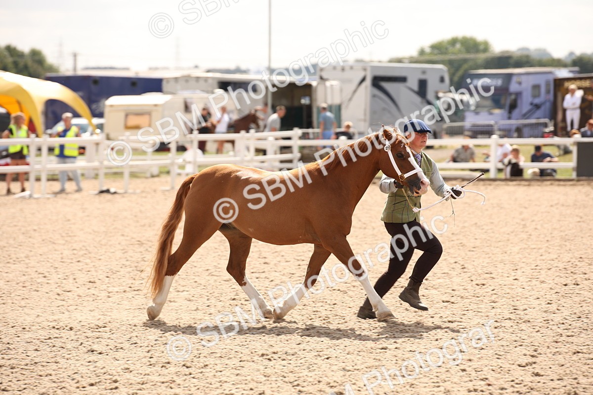 SBM_04602 - Class 20 IH Veteran