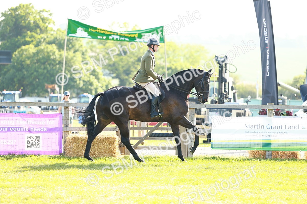 SBM_10930 - Class 66-69 - RIHS Ridden Hunters Inc Small Hunter