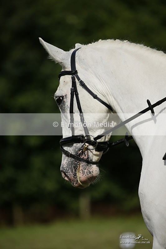 BVRC 120921 342 - Bourne Valley Riding Club UA Dressage & Show Jumping 12/09/21