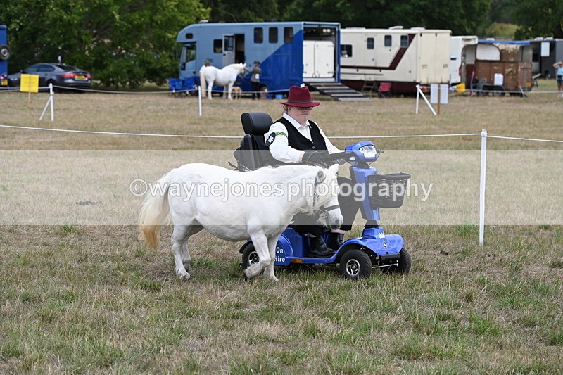 WJ6_6010 - Class 19 In-hand Veterans (Uploaded correct folder)