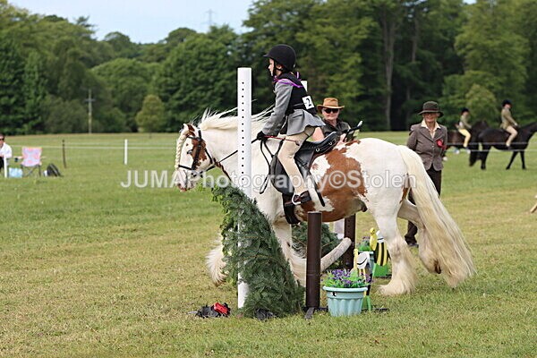 IMG_2444 - Working Hunter