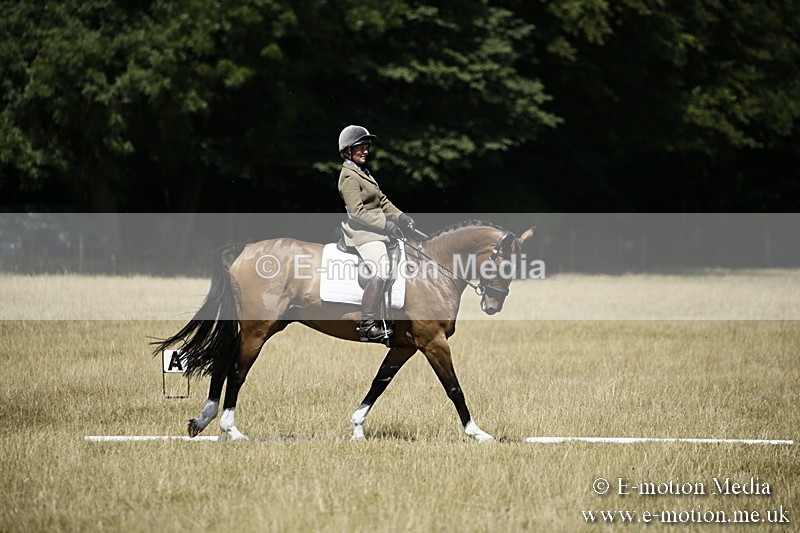 LP220718-6 - Roving Camera BVRC Show 2018