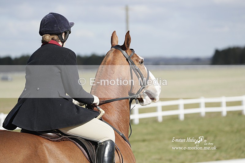 PtP 260223 411 - South & West Wilts Point-to-Point Larkhill 26/02/23