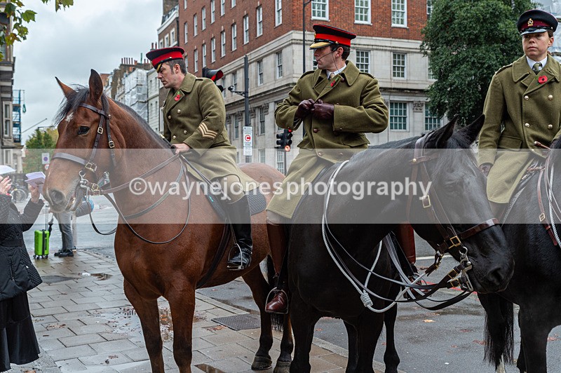 NGP_7085 - Animals In War Memorial - 10-11-23