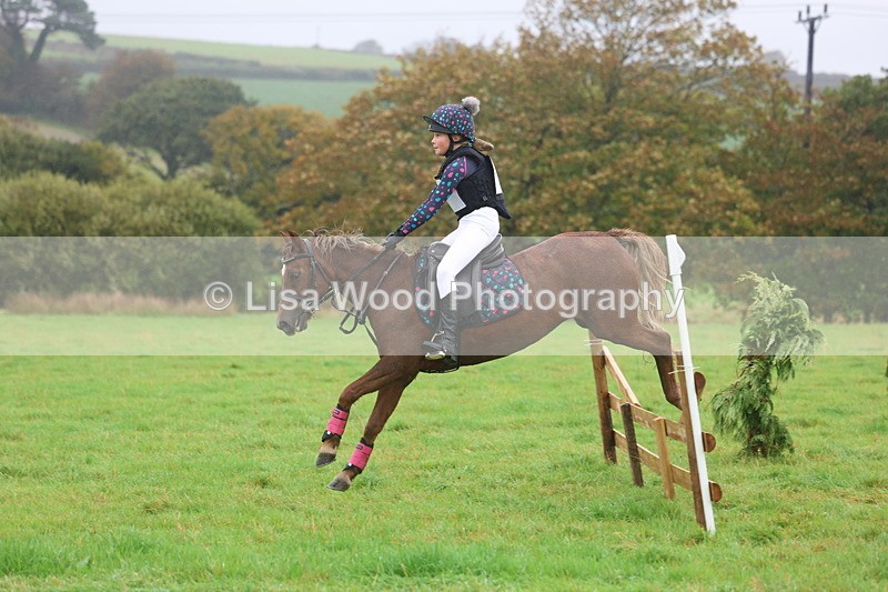 3E7A1041 - Class 1: 65cm: Rails