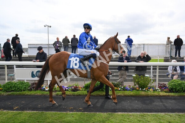 yr13052022r6-16 - Race 6 4.45pm Yorkshire Equine Practice Stakes