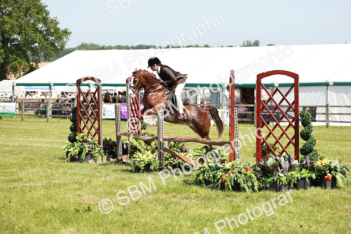 SBM_15520 - Class 108-109 - BSPS LIHS Open Gradle & Nursery Stakes