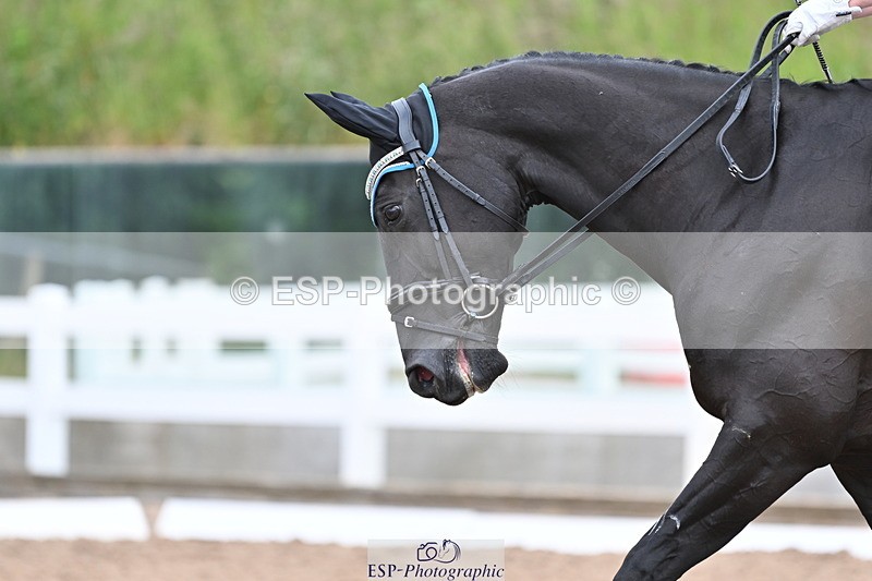 240622A-135910-18595 - Cls 32 BD Medium 69