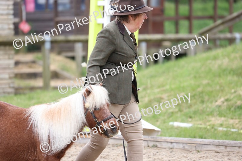 20250524-0647 - Class 7 - Veteran