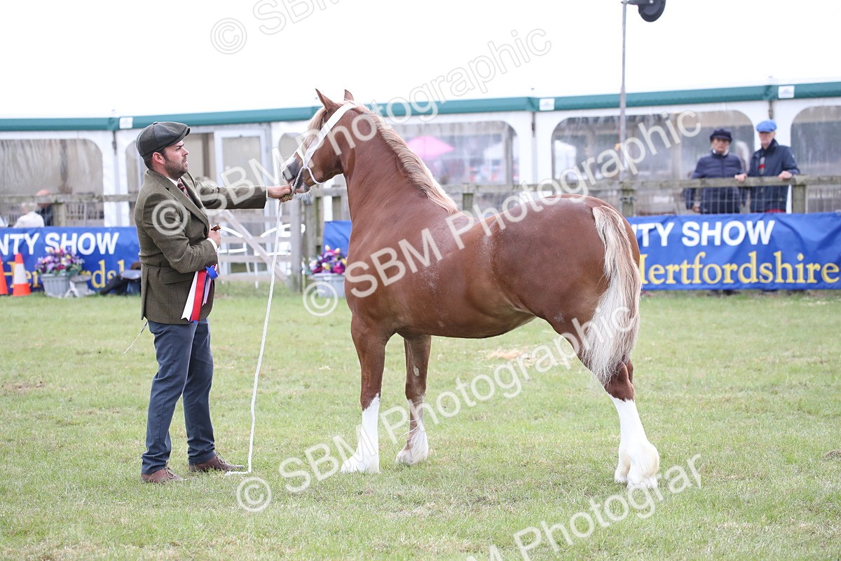 SBM_09825 - Ch 50 - Price Family Supreme In Hand