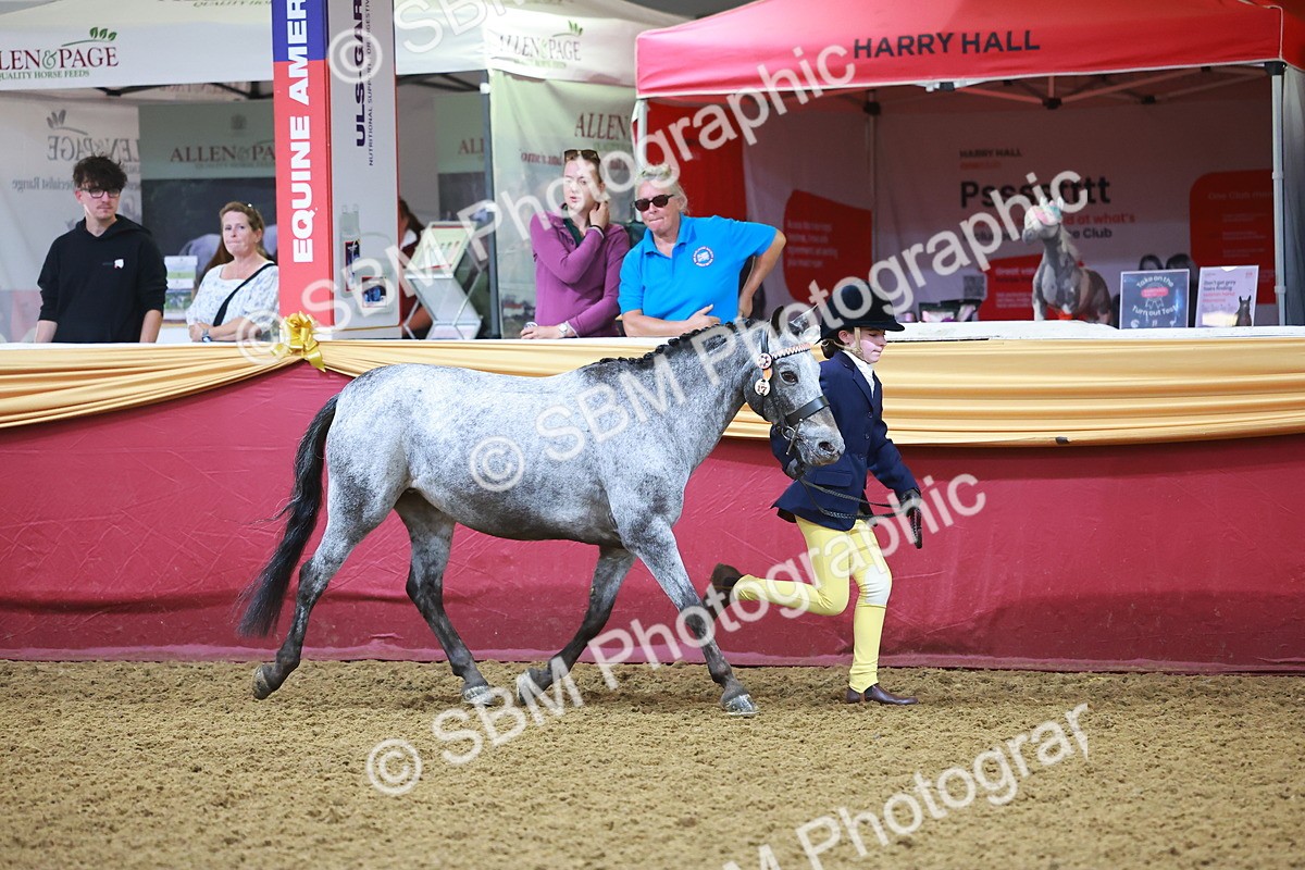 SBM_14691 - Class B - Junior Champ 11 to 16 Years