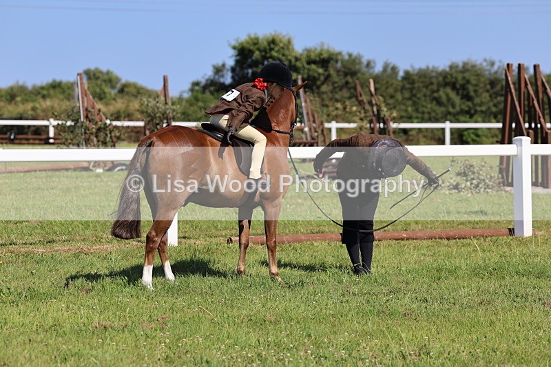 IMG_1844 - Plaited Mini Ridden Championship