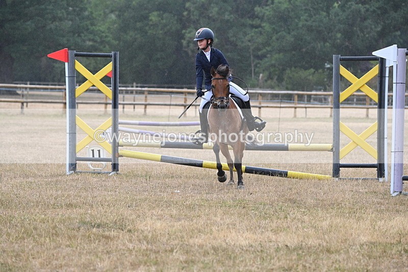 WJ6_0020 - Class 13 Novice Jumping 60cm