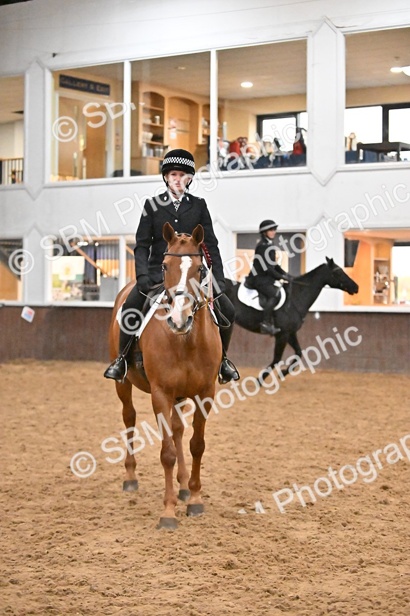 SBM_003052 - Class 37,38 - UKPSAF Performance Horse & Pony