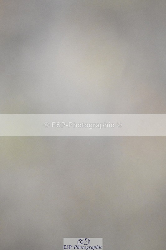 250831A-122519-10025 - Cls 36 Snr 1.30m Grand Prix